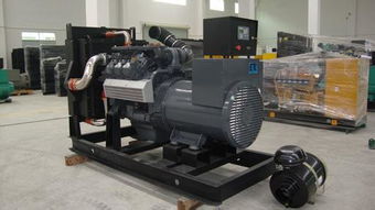 大宇發(fā)電機(jī)技術(shù),優(yōu)質(zhì)的發(fā)電機(jī)供應(yīng)