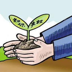 我國知識產權服務企業的經營策略建議